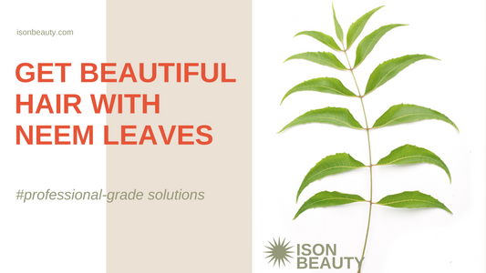 A branch of neem tree leaves. Natural Medicine.